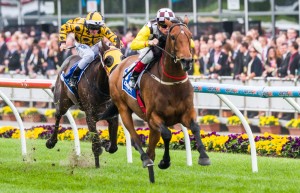 Precedence winning the Moonee Valley Cup at Moonee Valley - photo by Race Horse Photos Australia