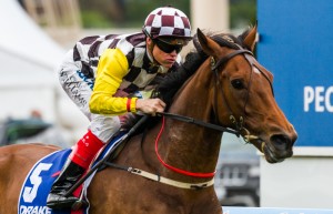 Precedence winning the Moonee Valley Cup at Moonee Valley - photo by Race Horse Photos Australia
