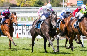 Arabian Gold winning the Ethereal Stakes at Caulfield - photo by Race Horse Photos Australia
