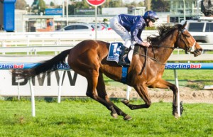 Atlantic Jewel winning the New Zealand Bloodstock Memsie Stakes at Caulfield - photo by Race Horse Photos Australia