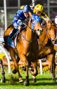Buffering winning the Manikato Stakes at Moonee Valley - photo by Race Horse Photos Australia