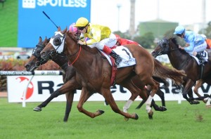 Criterion 230313 9606 Criterion