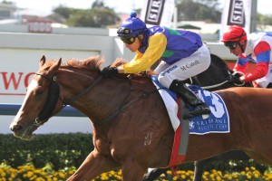 Peron's odds have shortened in betting for BTC Cup 2014