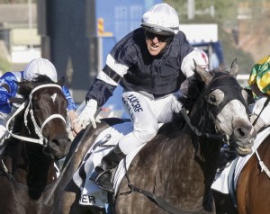 Fawkner winning the 2013 Caulfield Cup - Photo by Sarah Ebbett