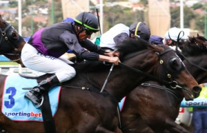 Fiorente winning the Dato' Tan Chin Nam Stakes at Moonee Valley - photo by Race Horse Photos Australia
