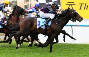 Fiorente winning the Dato' Tan Chin Nam Stakes at Moonee Valley - photo by Race Horse Photos Australia
