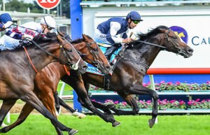 Jet Away winning the Le Pine Funerals Easter Cup at Caulfield - photo by Race Horse Photos Australia