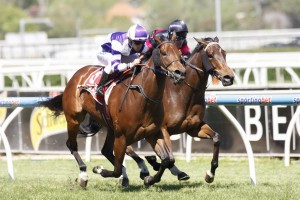 Liesele-0728 Liesele