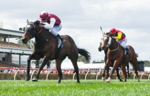 Long John winning the Henry Bucks Best Dressed Stakes at Flemington - photo by Race Horse Photos Australia