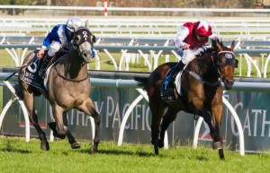 Caulfield Raceday Long John winning the BECK Caulfield Guineas at Caulfield - photo by Race Horse Photos Australia