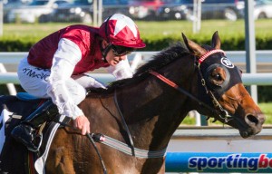 Long John winning the BECK Caulfield Guineas at Caulfield - photo by Race Horse Photos Australia