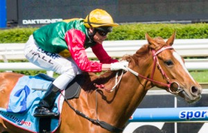 May's Dream winning the Procal Dairies Handicap at Caulfield - photo by Race Horse Photos Australia