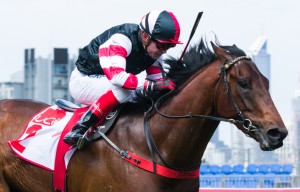 Polanski winning the UCI Stakes at Flemington - photo by Race Horse Photos Australia