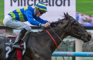 Gregers - Cockram Stakes 2014