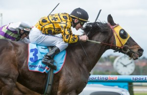 Gotta Take Care, Moonee Valley