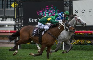 Foreteller, Craig Newitt