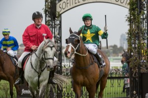 Foreteller, Craig Newitt