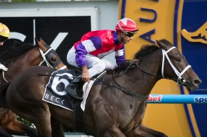 Eclair Big Bang, Dom Tourneur