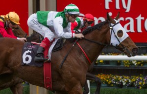 Speediness, Craig Williams