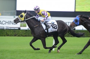 Last years Doncaster Mile winner will line up again for Chris Waller on Saturday