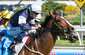 Sea Moon winning the Sportingbet Herbert Power Stakes at Caulfield - photo by Race Horse Photos Australia