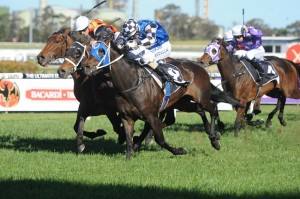 Sharnee Rose will be hoping to cause an upset in the Queen Of The Turf Stakes 2014