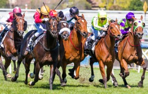Caulfield Raceday Spirit Of Boom winning the Caulfield Sprint at Caulfield - photo by Race Horse Photos Australia