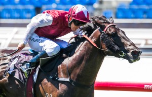 : Paximadia winning the Carbine Club Stakes at Flemington ridden by Kerrin McEvoy and trained by Peter Snowden - (photo by Steven Dowden/Race Horse Photos Australia)