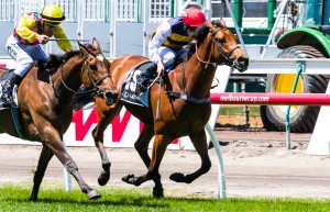 Flemington Raceday
