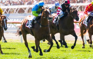 Oakleigh Girl winning the 7News Stakes at Flemington ridden by Craig Newitt and trained by Danny Bougoure - (photo by Steven Dowden/Race Horse Photos Australia)