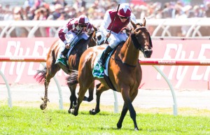 Flemington Raceday Wistful winning the TAB Rewards Trophy at Flemington ridden by Kerrin McEvoy and trained by Peter Snowden - (photo by Steven Dowden/Race Horse Photos Australia)