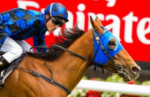 Buffering winning the VRC Sprint at Flemington ridden by Damien Browne and trained by Robert Heathcote - (photo by Steven Dowden/Race Horse Photos Australia)