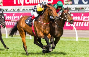 Precedence winning the Queen Elizabeth Stakes at Flemington ridden by Craig Williams and trained by Bart & James Cummings - (photo by Steven Dowden/Race Horse Photos Australia)