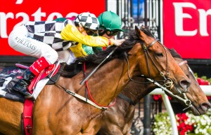 Precedence winning the Queen Elizabeth Stakes at Flemington ridden by Craig Williams and trained by Bart & James Cummings - (photo by Steven Dowden/Race Horse Photos Australia)