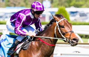 Boban winning the Moonga Stakes at Caulfield - photo by Race Horse Photos Australia