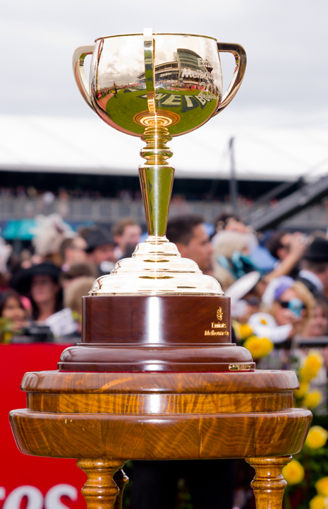 Dunaden Melbourne Cup 2013