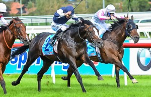 Jet Away winning the Le Pine Funerals Easter Cup at Caulfield - photo by Race Horse Photos Australia