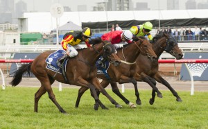 Kirramosa - Tramway Stakes