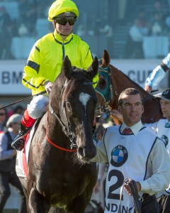 Race 10, Dandino, Craig Williams_19-10-13, Grp 1 Caulfield Cup, Caulfield_0343