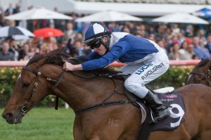 Post'D france, Patrick Moloney