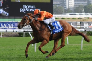 Terravista is our Top Tip at Randwick on George Main Stakes day