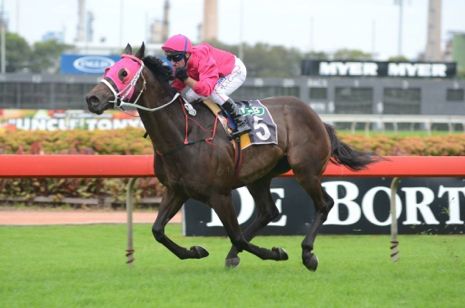 Republic Lad is our best roughie of the day at Moonee Valley racecourse