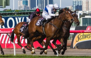 Zurella winning the Let's Elope Stakes at Flemington - photo by Race Horse Photos Australia