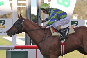 Conservatorium - Joe Bowditch Conservatorium