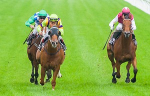 Flamberge winning Race 1 at Flemington - photo by Race Horse Photos Australia