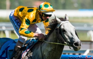 Freshwater Storm winning the Ballymore Stables Handicap at Caulfield ridden by Jye McNeil and trained by Tony Parker - (photo by Steven Dowden/Race Horse Photos Australia)