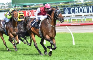 Gig winning the Fiesta Star Handicap at Flemington - photo by Race Horse Photos Australia (Sarah Ebbett)