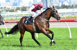 Gig winning the Fiesta Star Handicap at Flemington - photo by Race Horse Photos Australia (Sarah Ebbett)