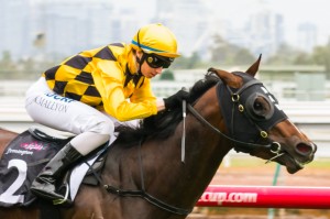 Gracious Prospect winning the Primacy Handicap at Flemington ridden by Katelyn Mallyon and trained by David Hayes - (photo by Steven Dowden/Race Horse Photos Australia)