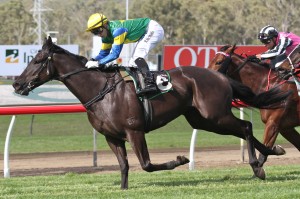 Cape Kidnappers - Ric McMahon